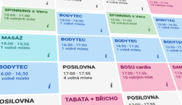 ddc_rozvrh_2016