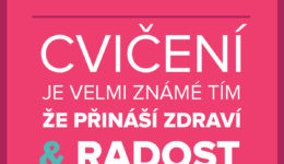 Ddc Motiv Varovani