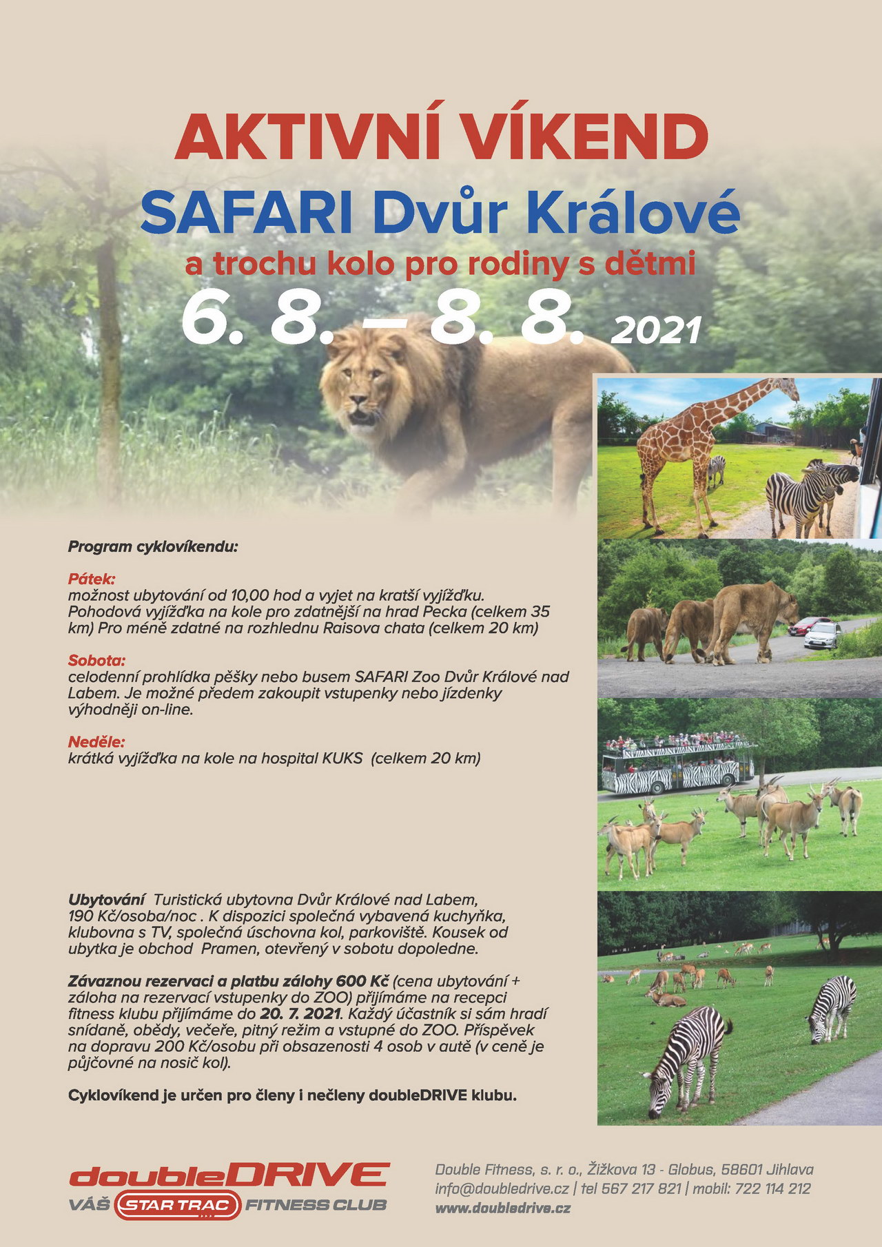 Ddc 20210806 Safari Resize